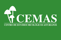 Centro de estudios micológicos asturianos